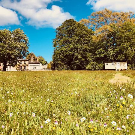 Somerleyton Meadows - The Hideaway Hut & Hot Tub Herringfleet Exteriér fotografie